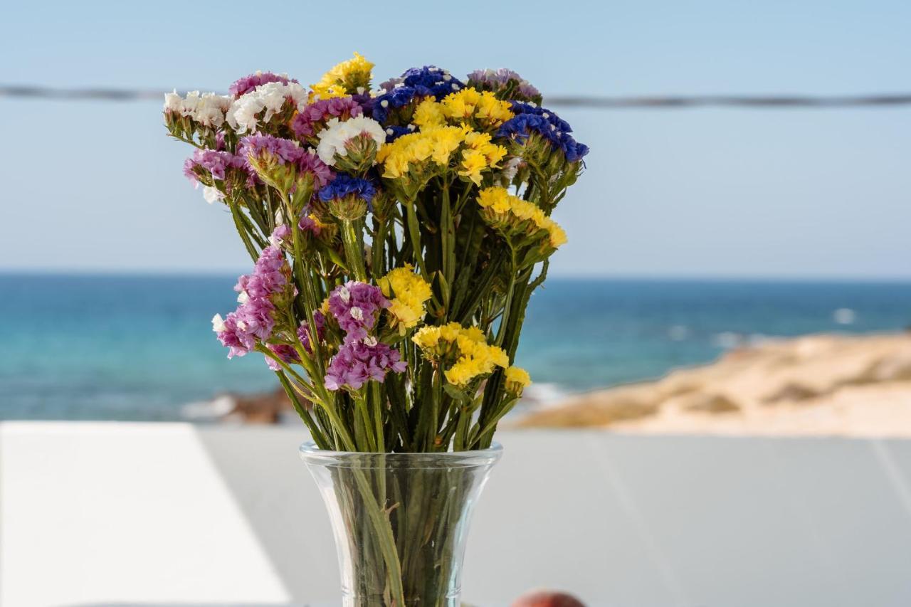 Celestial Seaview Apartments- Apollon Naxos City Екстер'єр фото